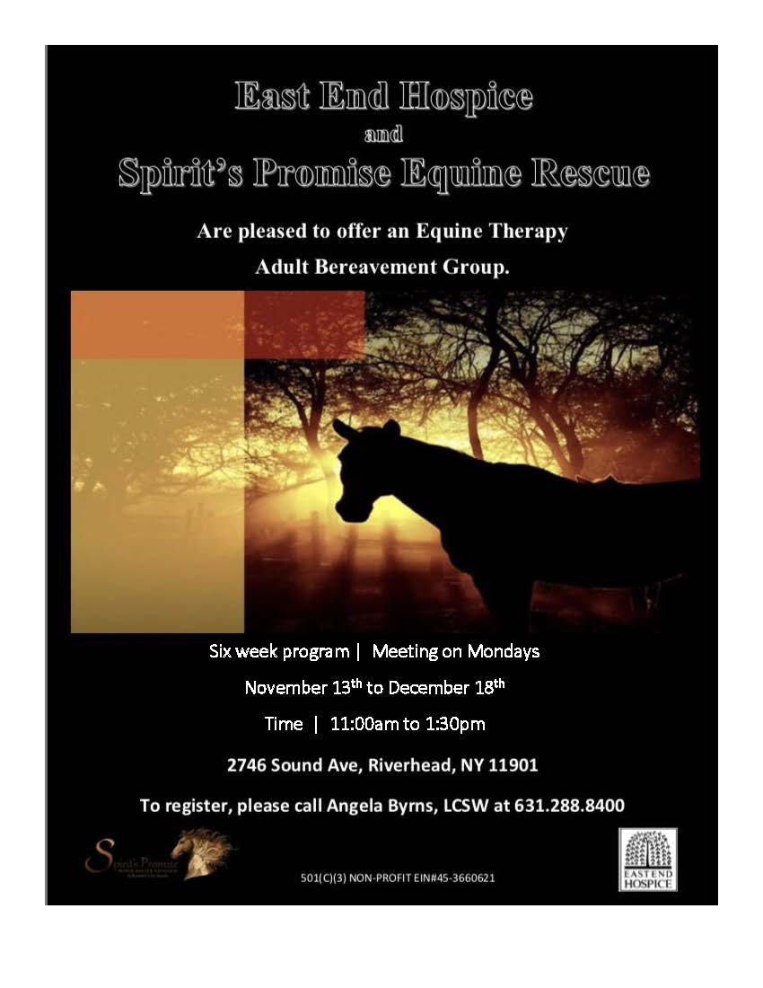 Spirits promise group flyer 2017 november East End Hospice